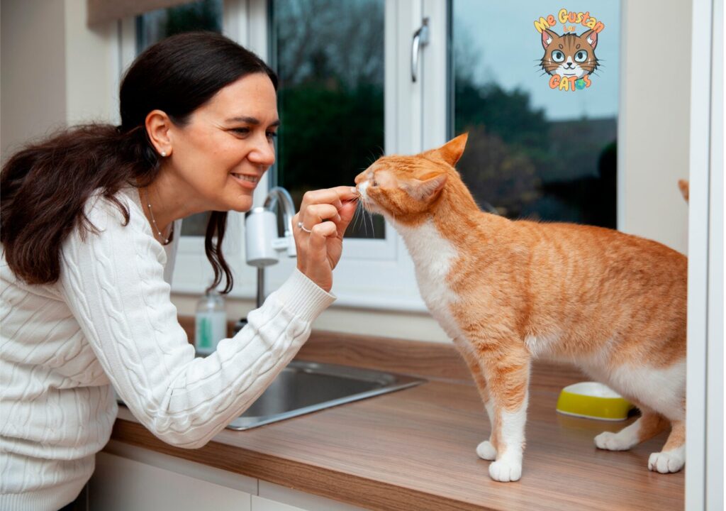 Cómo dar pastillas a un gato