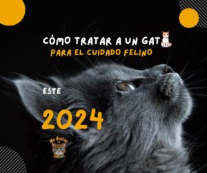 Cómo Tratar a un Gato: Para el Cuidado Felino este 2024