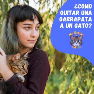 como quitar una garrapata a un gato